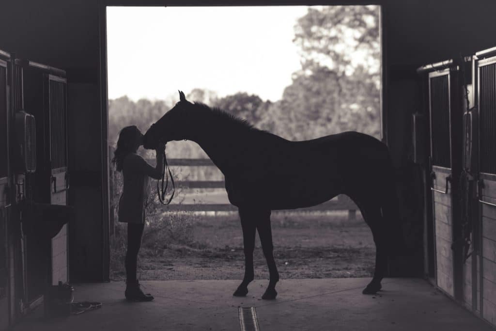 https://unsplash.com/photos/woman-kissing-horse-QrJc1RVI7uM
