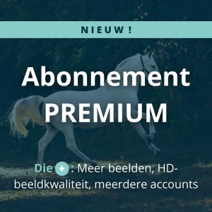 pferde kamera 4g kamera lan abonnement standard
