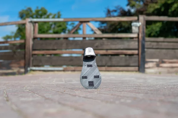 Coho 4G paarden camera stal camera AI paarden horses cheval pferde stal kit