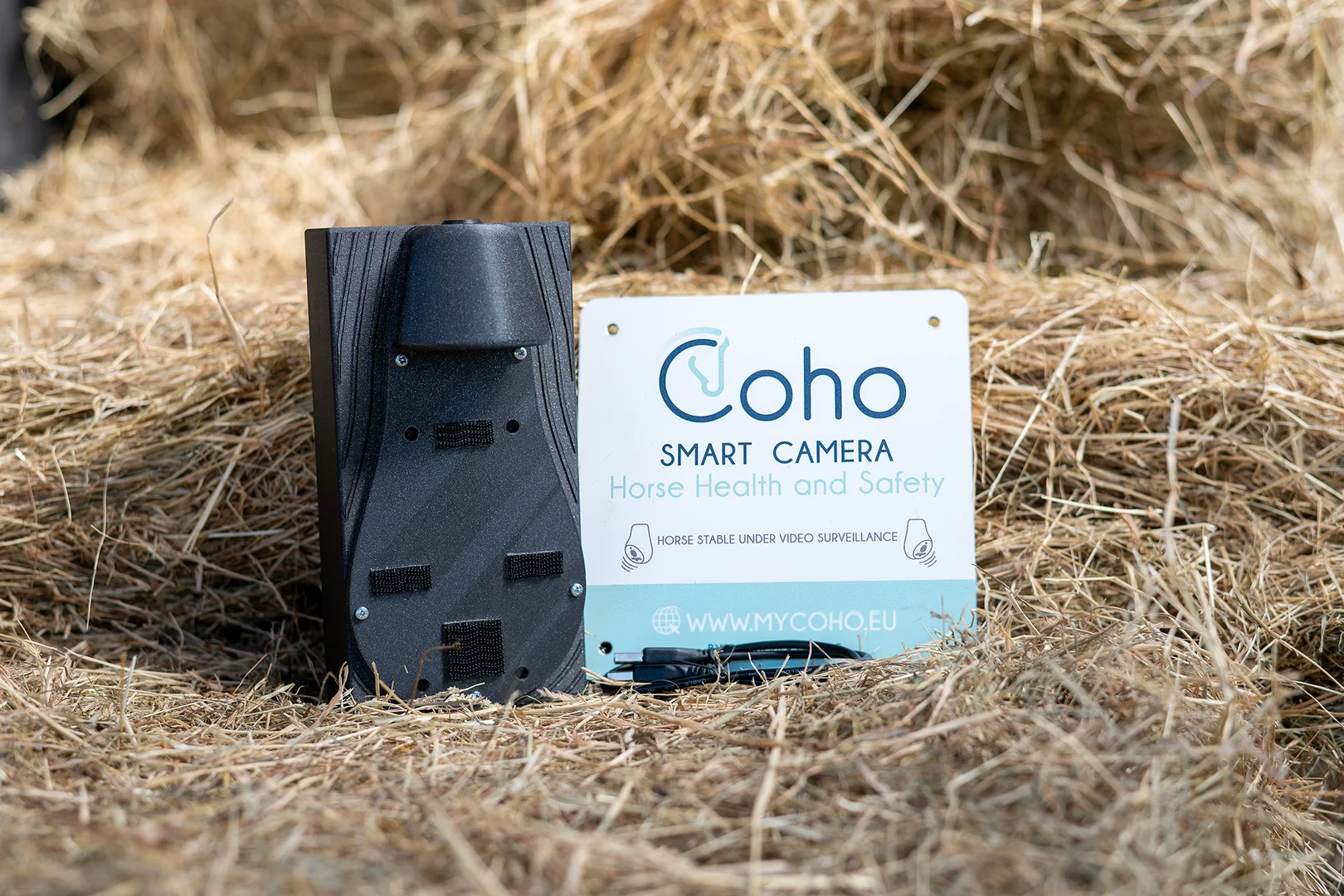 Coho 4G paarden camera stal camera AI paarden horses cheval pferde mobiele kit webstrijd concours